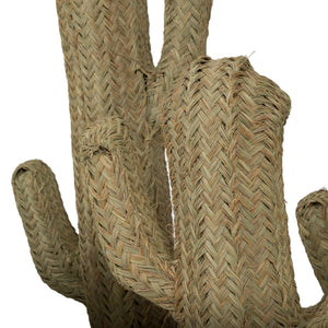 Cactus de esparto vegetal en 6 tamaños
