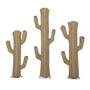 Cactus de esparto vegetal en 6 tamaños