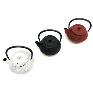 Tetera japonesa de hierro fundido 300ml