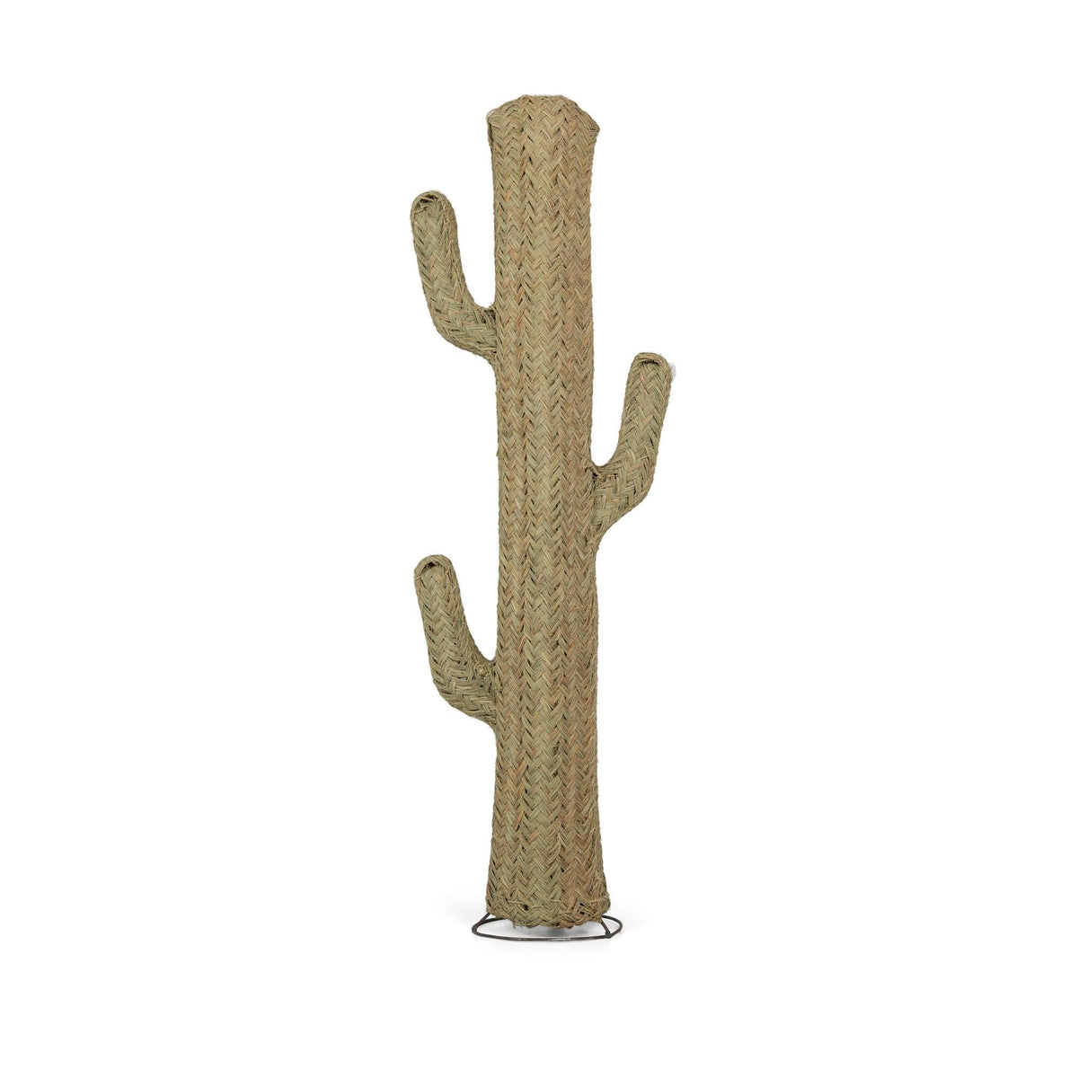 Cactus de esparto vegetal en 6 tamaños