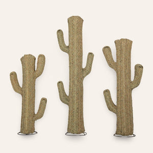 cactus esparto vegetal tres