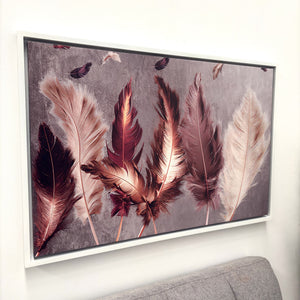 cuadro plumas naturaleza AGS10