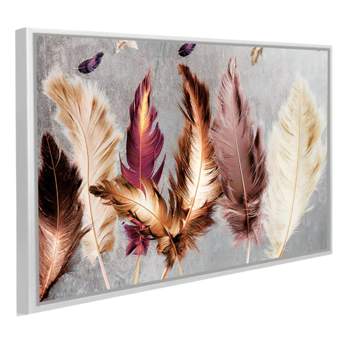 cuadro plumas naturaleza